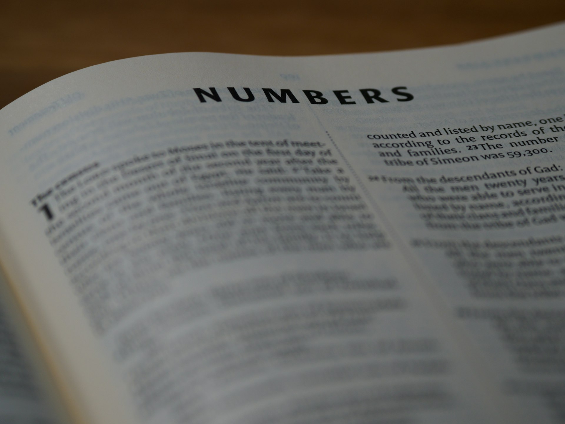 Numerologist Mumbai